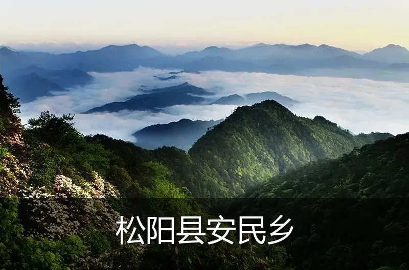 松阳县安民乡