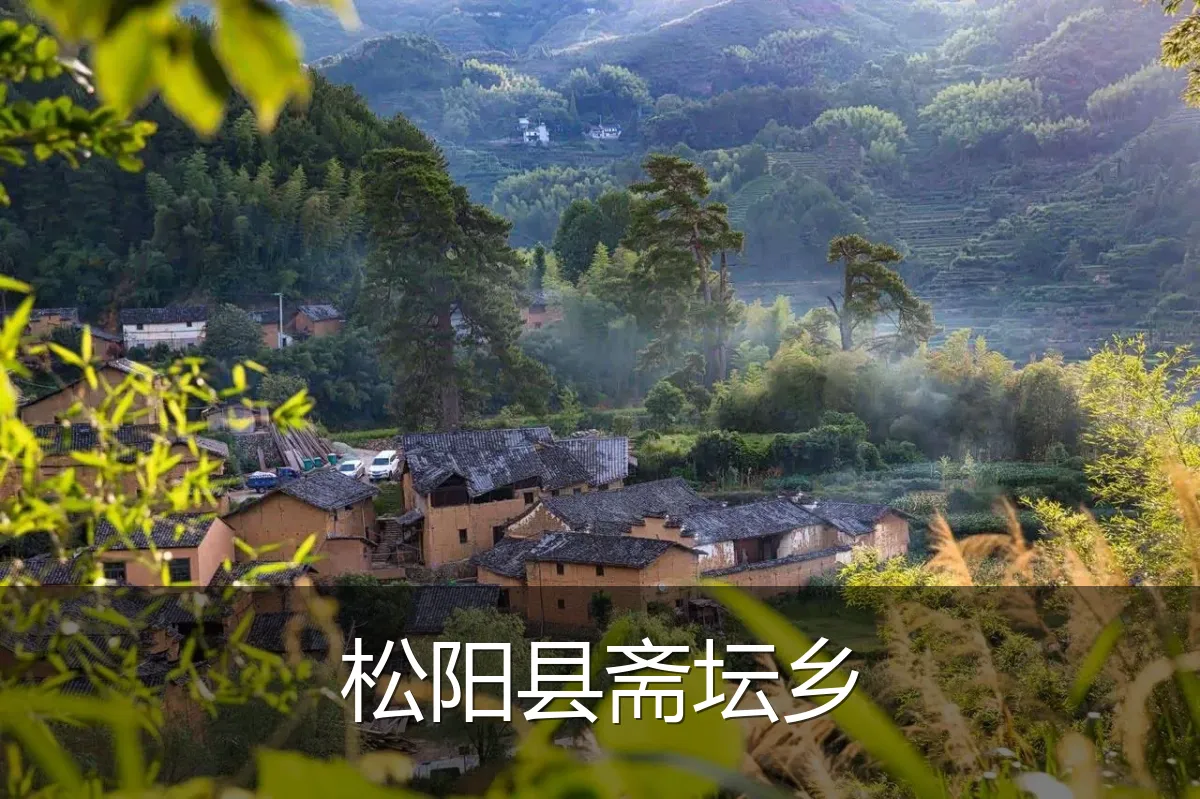松阳县斋坛乡