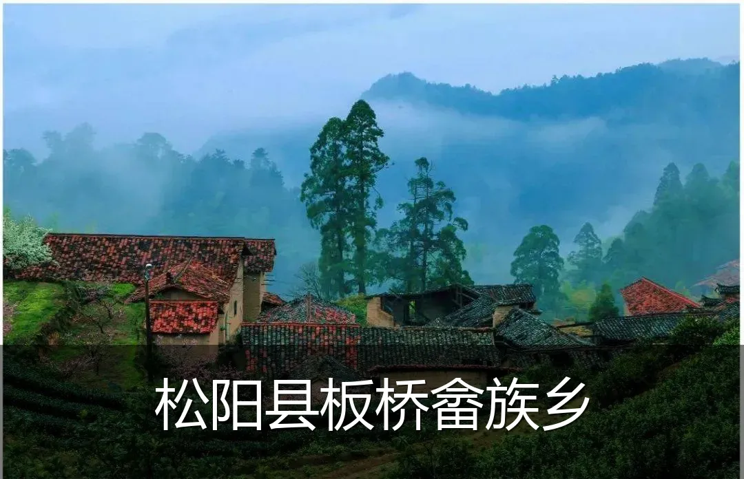 松阳县板桥畲族乡