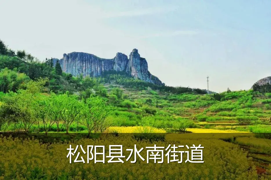 松阳县水南街道