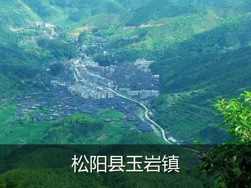 松阳县玉岩镇