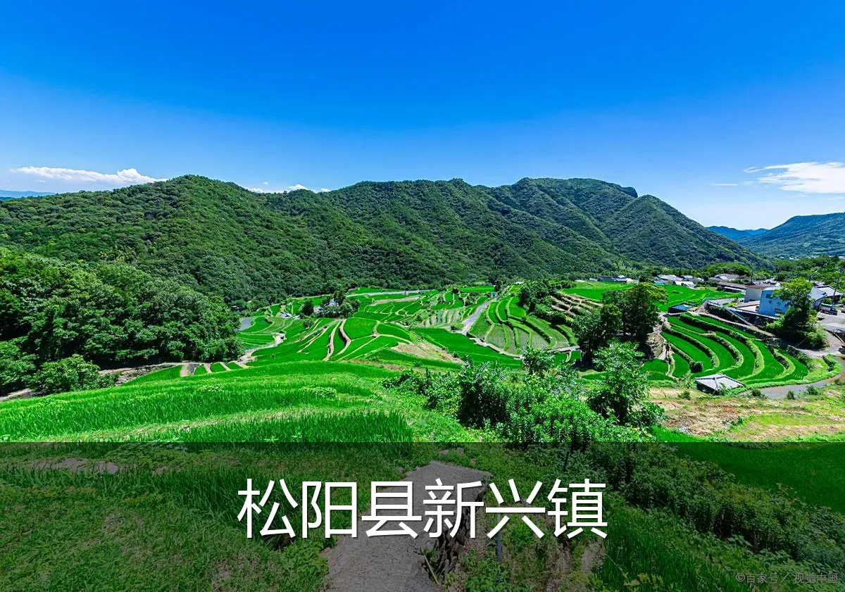 松阳县新兴镇
