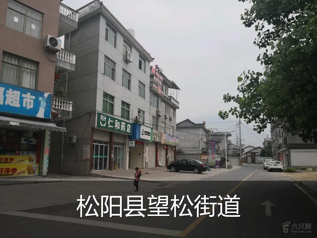 松阳县望松街道