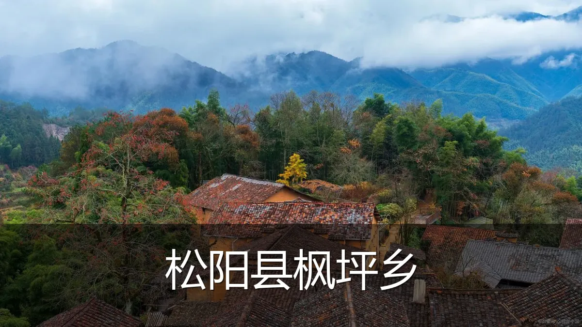松阳县枫坪乡