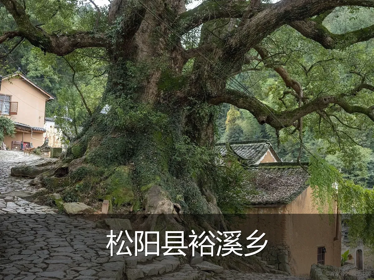 松阳县裕溪乡