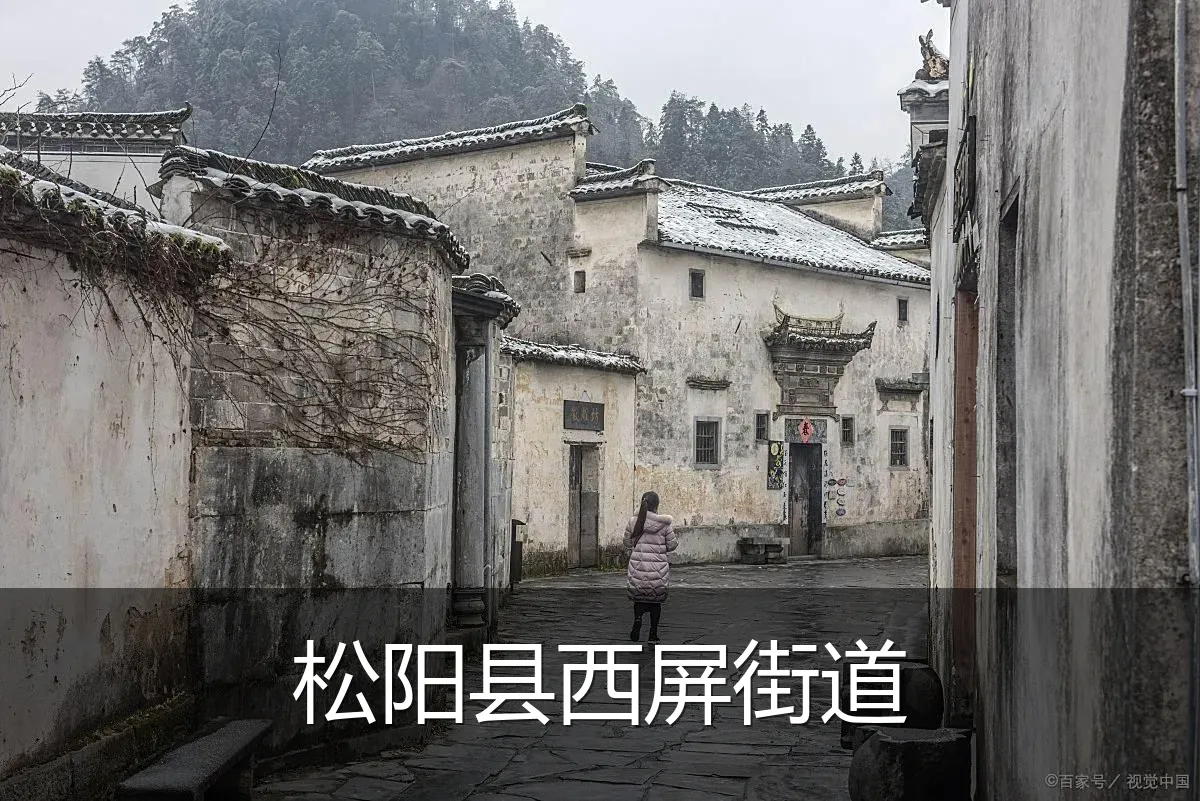 松阳县西屏街道